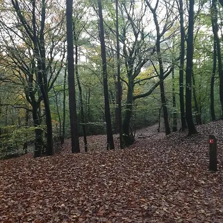 Alpstuga Abija